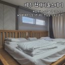 협재 하울 스테이 | 협재해수욕장 도보 3분 아이 동반 숙소 하울스테이 일주일살기