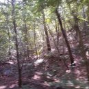 지산슈퍼 | 광주 무등산 맛집 송원산장에서 계곡보며 닭백숙 먹었다.