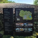 호텔토마토 | [제주 중문 맛집] 씨에스호텔 『 카노푸스 다이닝...그린 콥 샐러드, 나폴리 토마토 파스타 대만족후기