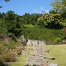 T1카페테리아 이미지