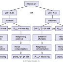 북삼온천 하이힐 이미지