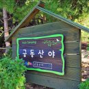 금동산야 이미지