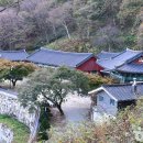 순창야채