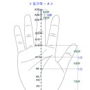 수지침 이미지
