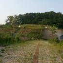 이경희 선생 묘 이미지