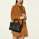 coach신상가방, burberry 스카프 이미지