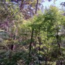 베이시스템(Bay System) 이미지