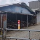 우사축사 이미지