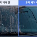 파파워시존 네이버블로그