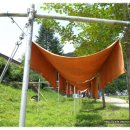 봉양중학교 이미지