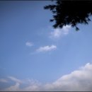 원평동 게이트볼장 | 문암생태공원 둘레길 걷기 캠핑장 바베큐장 백일홍 반려견 놀이터 청주 가볼만한곳 데이트 코스