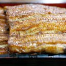 장어의꿈 이미지