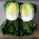 항암농장