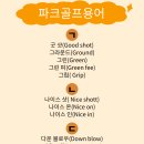 나이스파크골프 이미지