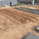 가좌농장 이미지