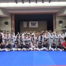 용인대금메달태권도 이미지