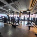 동탄 청년헬스 이미지