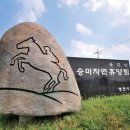 운주산승마자연휴양림 이미지