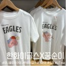 한화이글스 꿈순이 티셔츠 어디서 살까? 유니클로 대전 둔산점 구매 후기