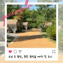 중랑캠핑숲양원청소년독서실 | 서울 도심 캠핑장 중랑캠핑숲 예약법 가격 꿀팁 등 솔직후기