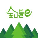 숲 나들이 야영장 이미지