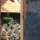 달밭코티지 이미지