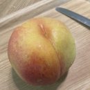 영주농장 | 영주농장 달콤 맛있는 복숭아 후기 &amp; 구매 성공 팁