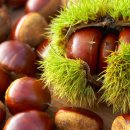 사랑과 기쁨 이미지