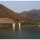 단양쏘가리 이미지