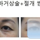 엄지연합의원 이미지