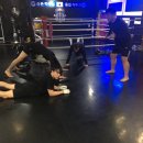 신촌킥복싱&MMA 이미지