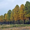 화랑공원 이미지