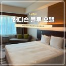 블루 | 가성비 최고 세부 래디슨 블루 호텔 후기 조식 수영장 지진