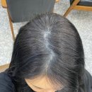 머리쟁이 이미지