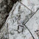 종합세차장 이미지