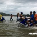 홍수농장 이미지