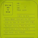 한약 3개월 치료후 (피부병) 이미지