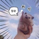 떡볶이중독