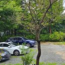 까미노데플로레스타2 이미지