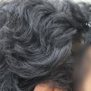 시그니아독일보청기 의정부센터 이미지