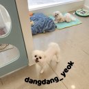 연두미용실