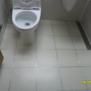 화이트크린닥터 이미지