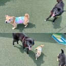 별빛쉼표 이미지