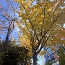 울산광역시 남구 삼산동 행정복지센터 | [울산 남구 삼산동 프린트 가능한곳] 구암문구 3층 프린트후기 위치 가격 스캔 팩스 복사 출력 코팅 제본