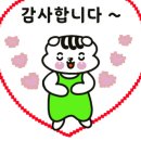 루페스빅풋디테일링센터광주점