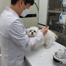 우리동물병원(산업) 이미지