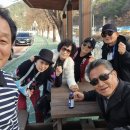닭마을