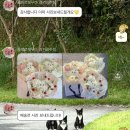 플레르쉐무아경기광주점