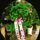 화광식품