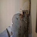 경기도 수원시 영통구 효원로358번길 이미지